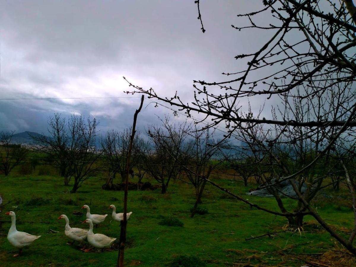 Ferme D'Hote La Vallee Azrou Buitenkant foto