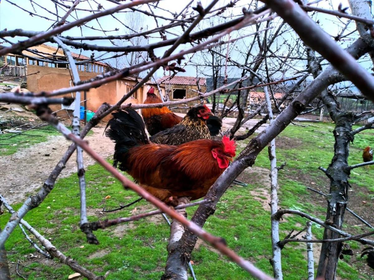 Ferme D'Hote La Vallee Azrou Buitenkant foto